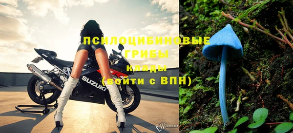 спиды Алексеевка